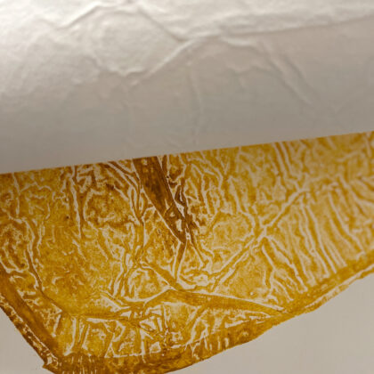 Fabio Zanino, Sindonica I, Detail
