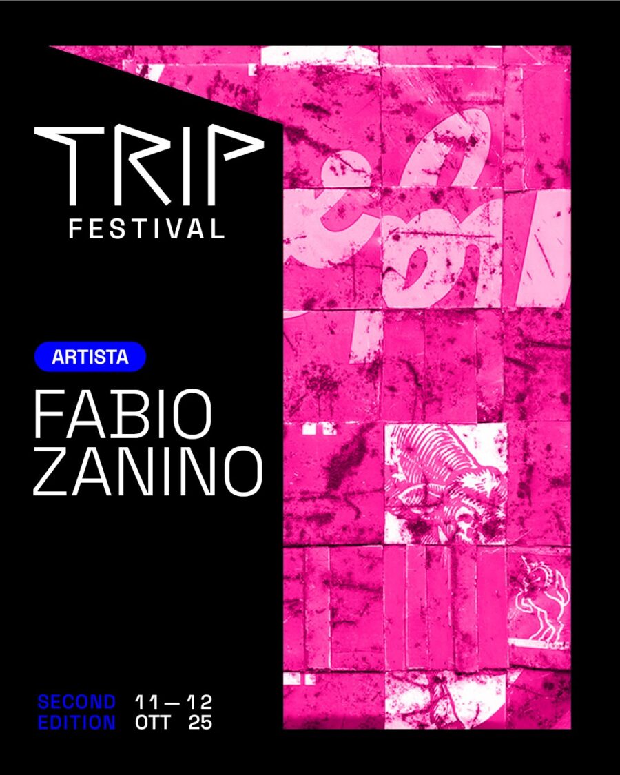 Torino Trip Festival 2025 exhibition Fabio Zanino